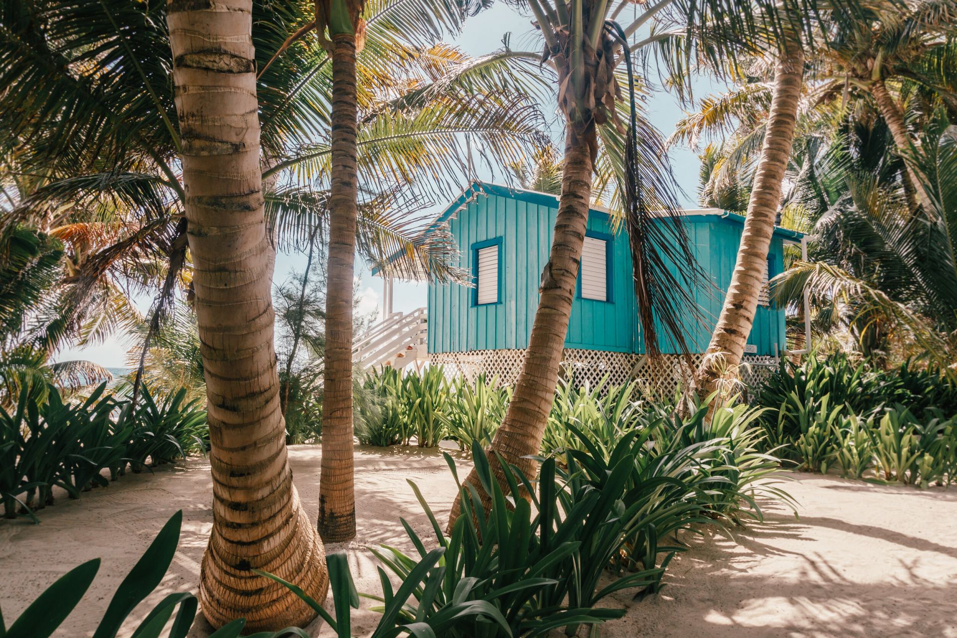 Ranguana Caye | LAT.40