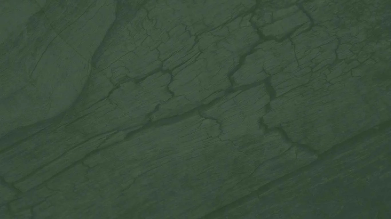 wood bg.jpg