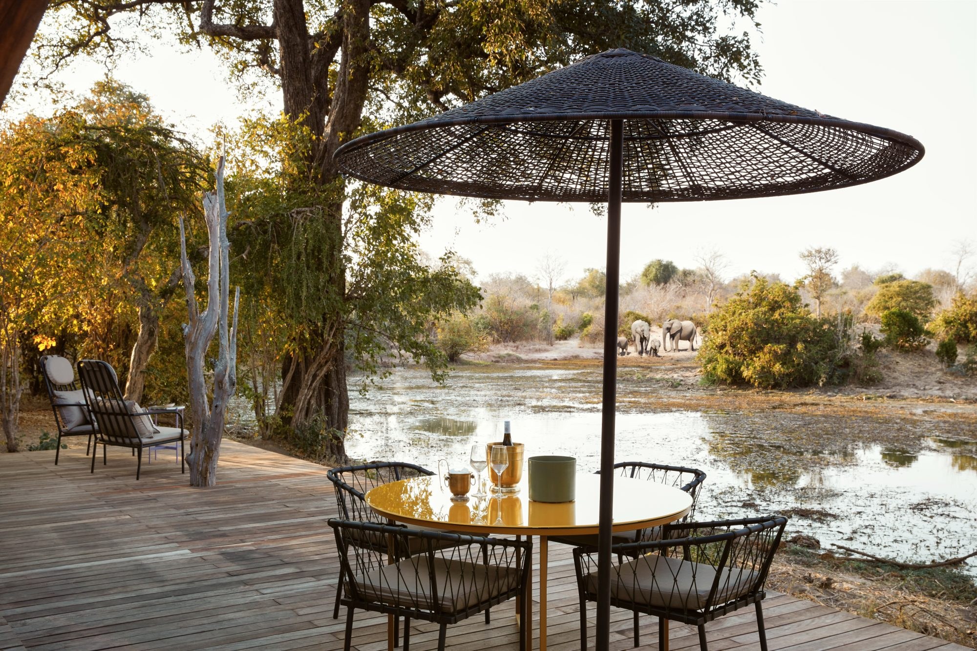 Molori Mashuma en Mana Pools
