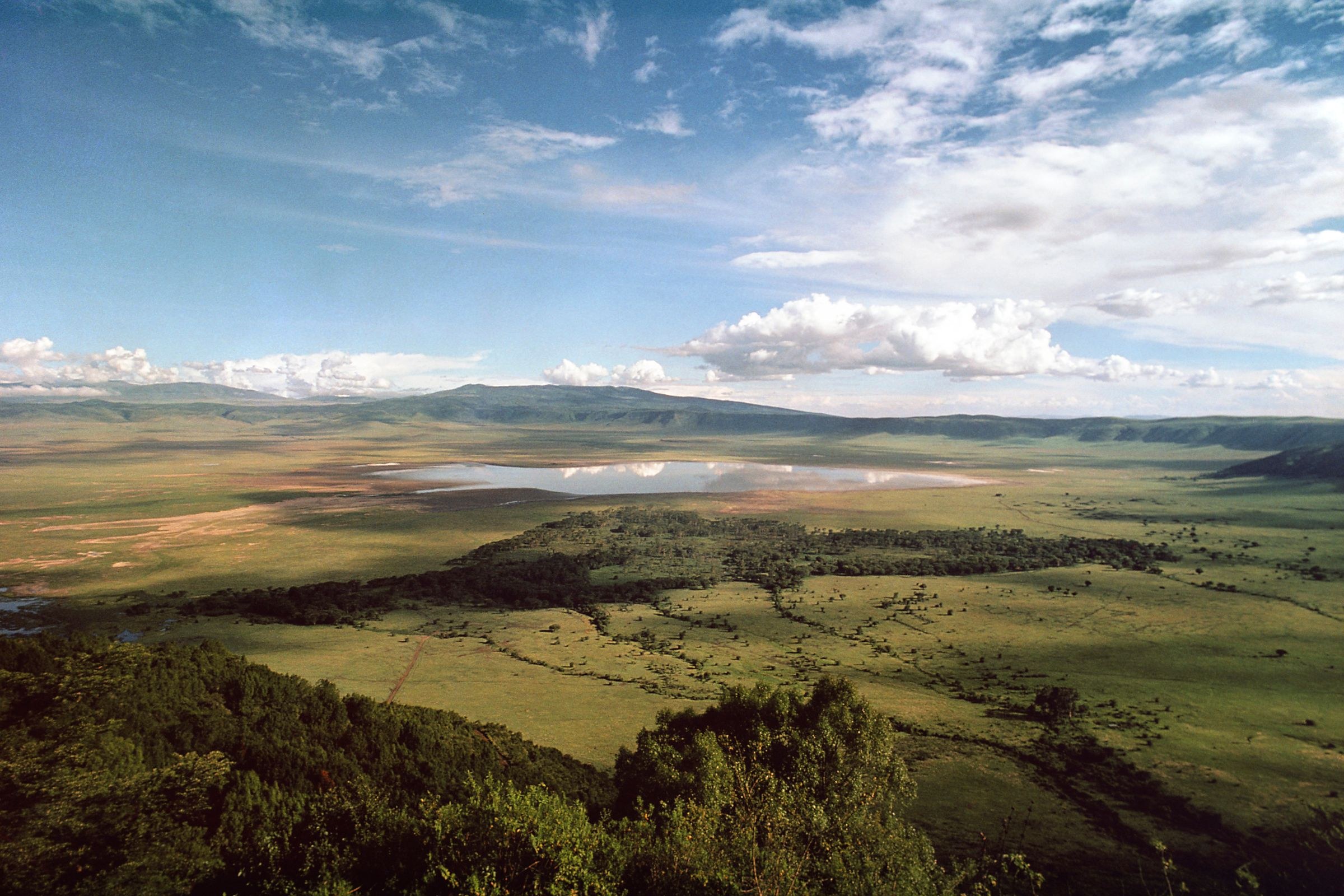 Ngorongoro Crater Camp, an A&K Sanctuary | LAT.40